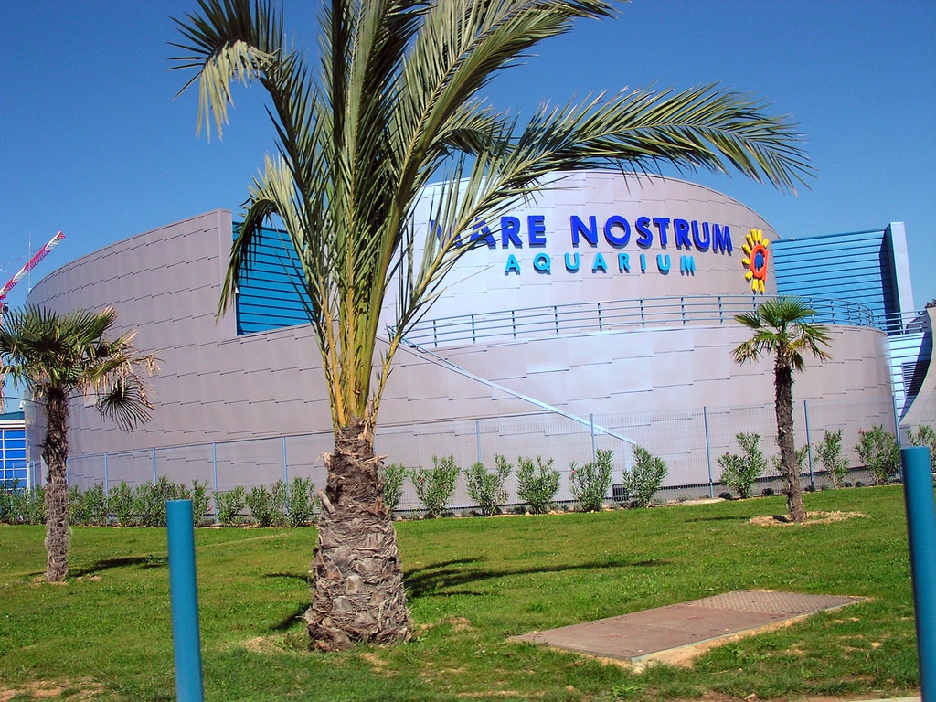 Montpellier Aquarium Mare Nostrum