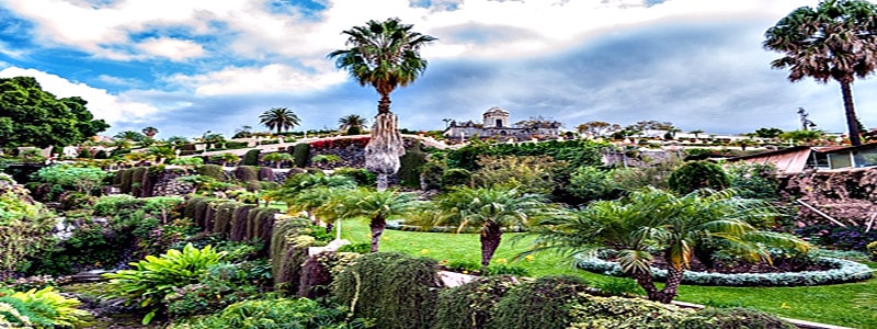 Gran Canaria Jardín Botánico Canario Viera y Clavijo