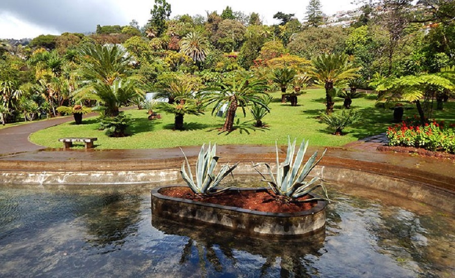 Madeira, Botanical garden in Funchal