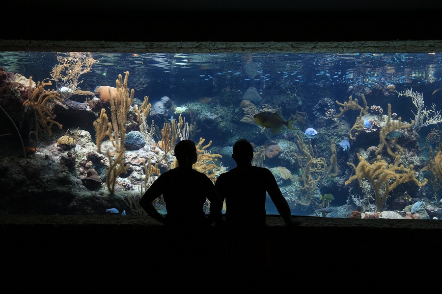 Madeira Aquarium, Portugal VIP services