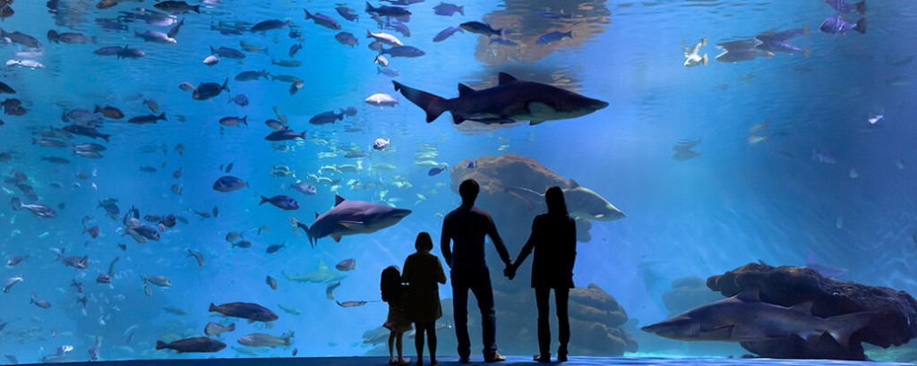 Palma de Mallorca Aquarium