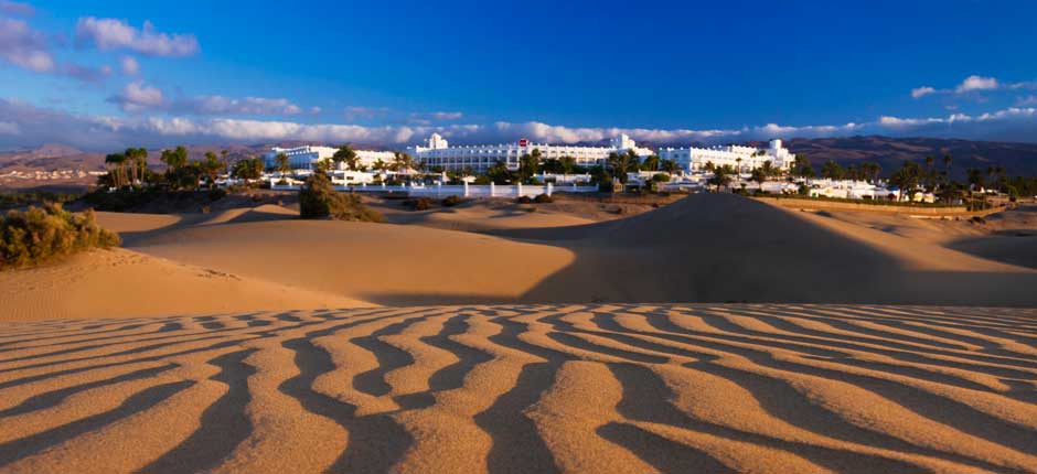Gran Canaria Natural Dune Reserve of Maspalomas