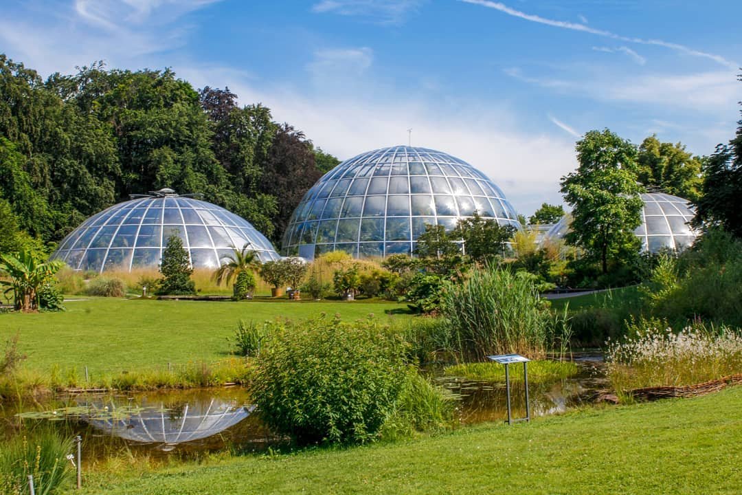 Zurich Botanical Garden